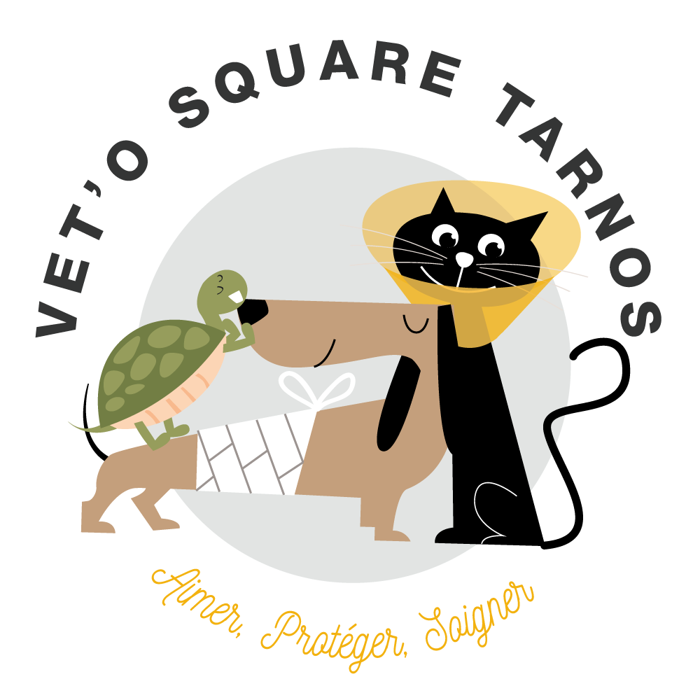 logo-veterinaire-landes