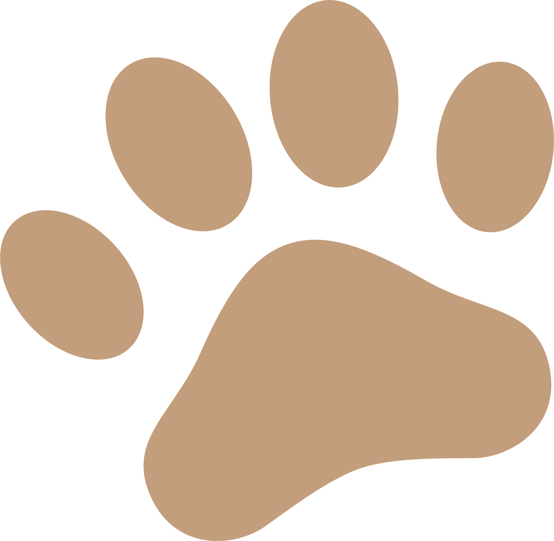 patte-de-chien