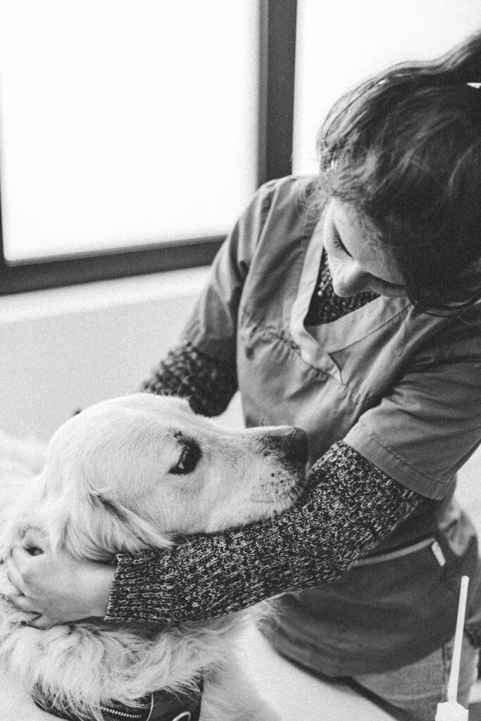 laura-veterinaire-tarnos